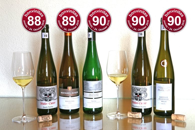 - bestens gereifte Rieslinge aus 2013 - delikat!