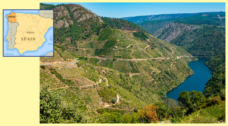 Die Weinwelt Galiziens: abwechslungsreiche Landschaften und der Star Albariño - Blick auf die Steilhänge am Canyon des Flusses Sil