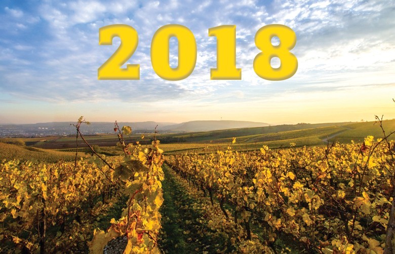 Der Wein-Jahrgang 2018 in Deutschland sehr klare Weine, beispielloser überdurchschnittlicher Jahrgang - bonvinitas Winzerbefragung