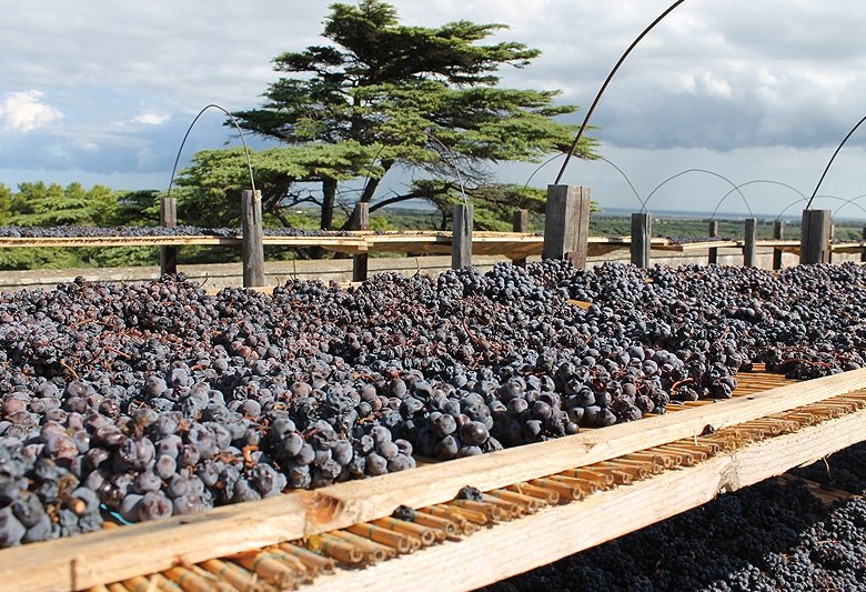 Im Castelserranova des Weinguts Vallone werden die Trauben für den Vorzeige-Negroamaro Gratticciaia auf dem Dach getrocknet.