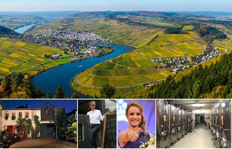 Die Mosel bei Mehring (oben in der Mitte). Unten von links: Weingut Hoffranzen; Sandra Berweiler; Lena Endesfelder, Deutsche Weinkönigin 2016/17; Keller im Weingut Schmitz Römerhof/Foto: bonvinitas