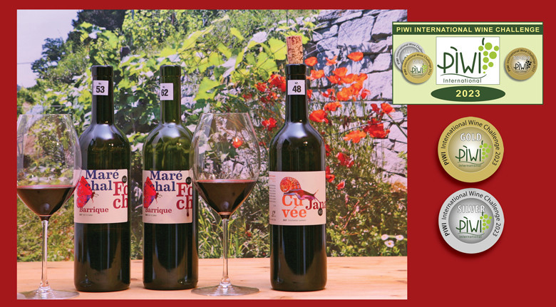 3xmal über 90 Punkte: Super PIWI-Rotweine von Bio-Weinbau Knechtle Glogger/Schweiz gewonnen beim PIWI International Wine Challenge 2023 – viel, viel weniger gespritzt. Im Hintergrund Reben am Buechberg in Thal, wo die Weine gewachsen sind