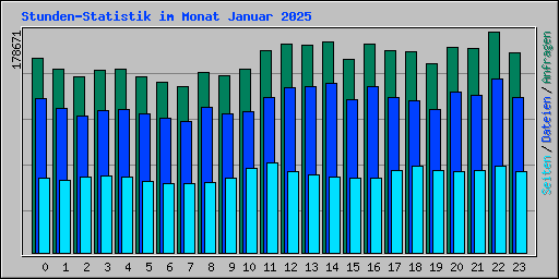 Stunden-Statistik im Monat Januar 2025