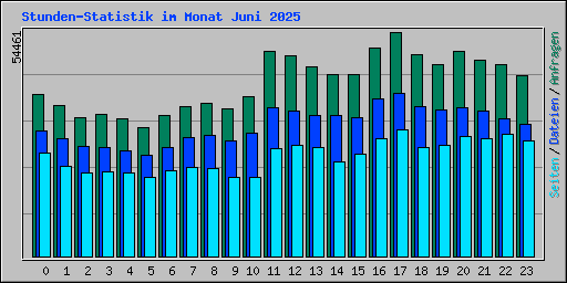 Stunden-Statistik im Monat Juni 2025