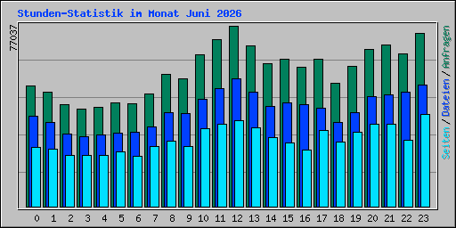 Stunden-Statistik im Monat Juni 2026
